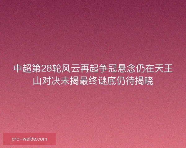 中超第28轮风云再起争冠悬念仍在天王山对决未揭最终谜底仍待揭晓
