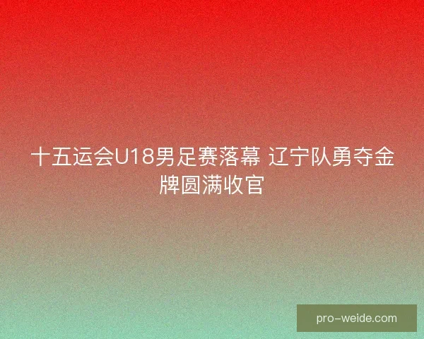 十五运会U18男足赛落幕 辽宁队勇夺金牌圆满收官